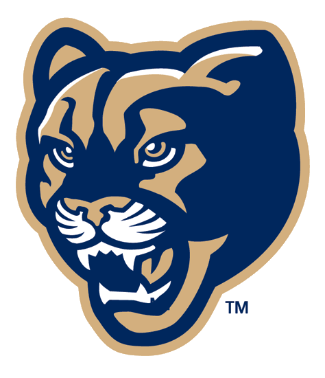 Brigham Young Cougars 1999-2004 Alternate Logo 03 custom vinyl decal